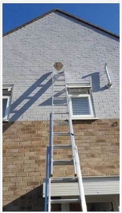 Painting Skills